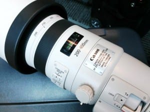 Canon EF 200-400mm f/4 L IS 1.4x