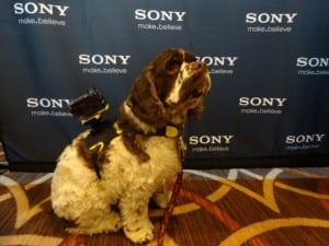Sony animal mount