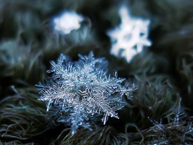 snowflake-closeup-diy-setup-alexey-kljatov-13