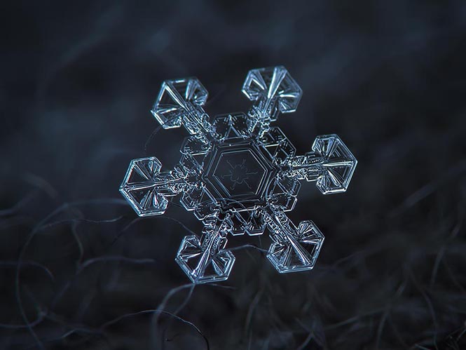 snowflake-closeup-diy-setup-alexey-kljatov-9