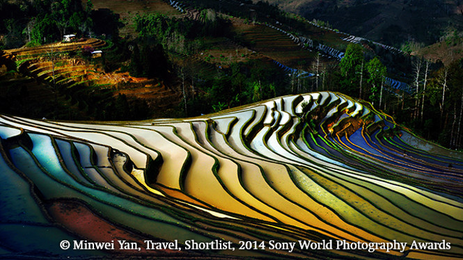 Sony World Photography Awards 2014 FINALISTS 5