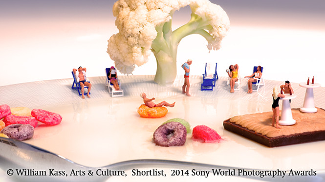 Sony World Photography Awards 2014 FINALISTS 8