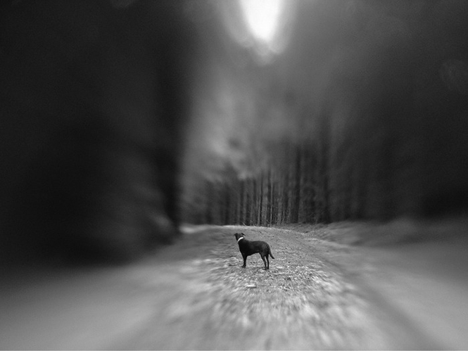 Lensbaby Creative Focus Lens