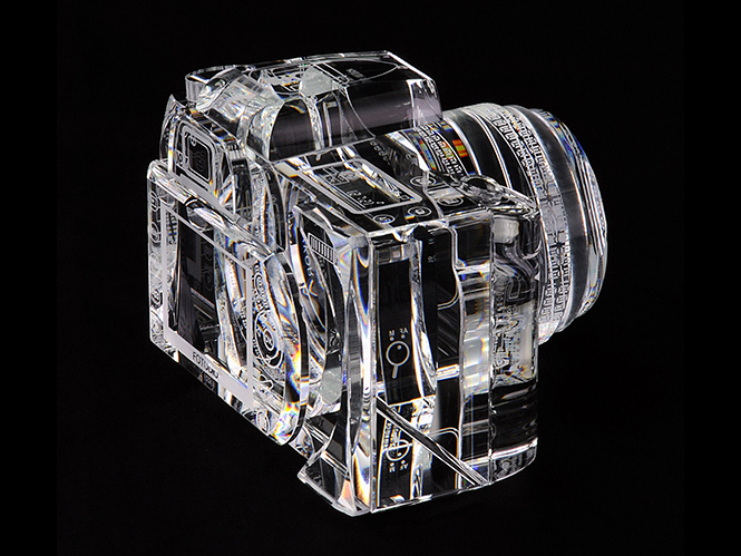crystal-camera-nikon-d90-2