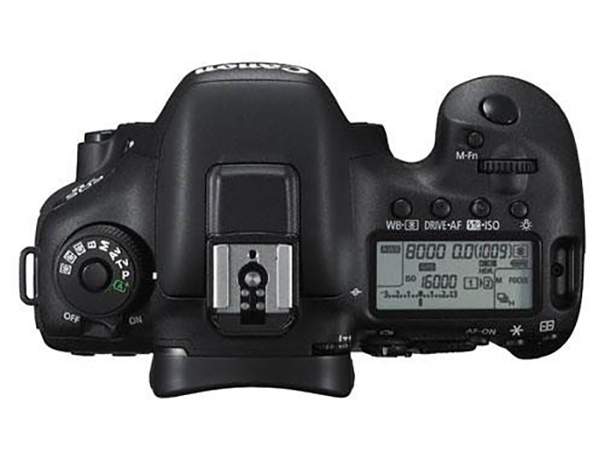 Canon-EOS-7D-Mark-II-3