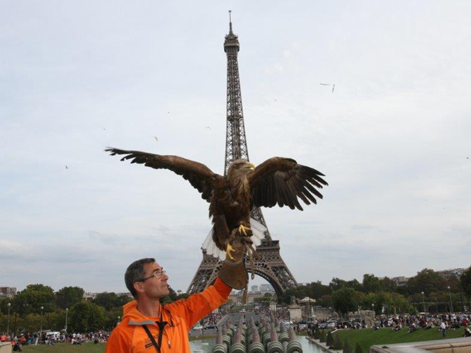 sony-and-eagle-in-paris-3