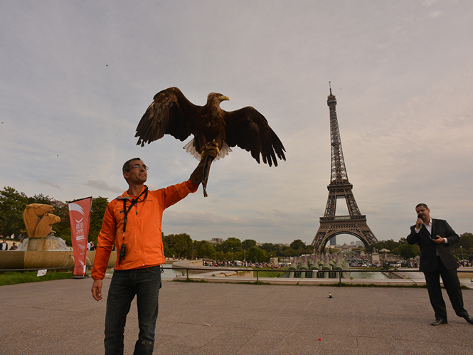 sony-and-eagle-in-paris