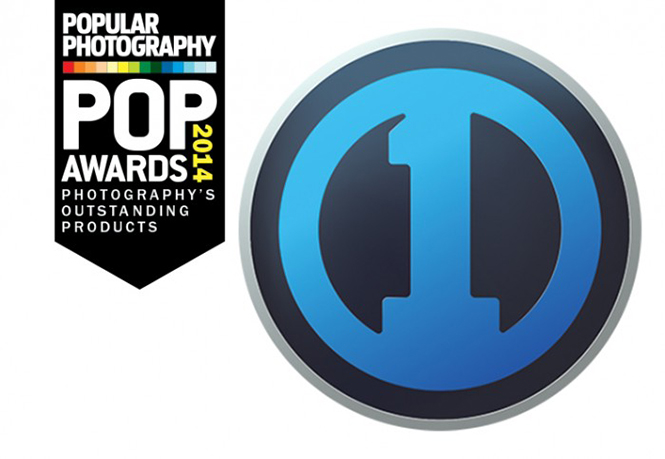 pop-awards-2014-29