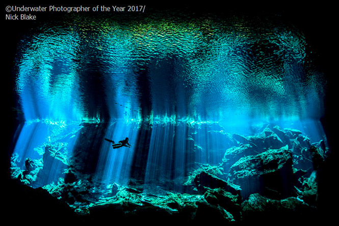 British Underwater Photographer of the Year, 2017: Out of the Blue by Nick Blake 