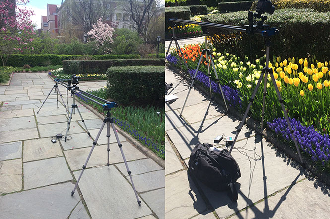 spring-time-lapse-outdoor-slider