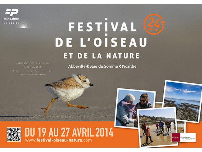 International Wildbird Photo Competition 2014