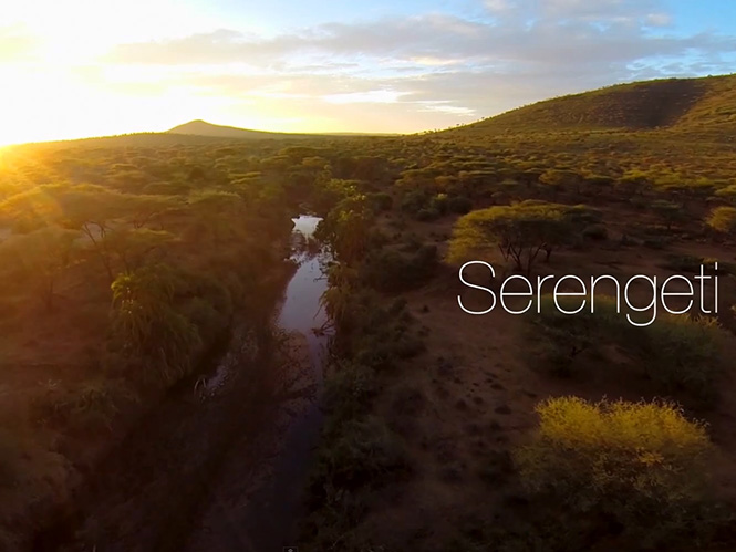 Ταξιδέψτε στο Serengeti σε ένα μοναδικό video με πλάνα από ψηλά
