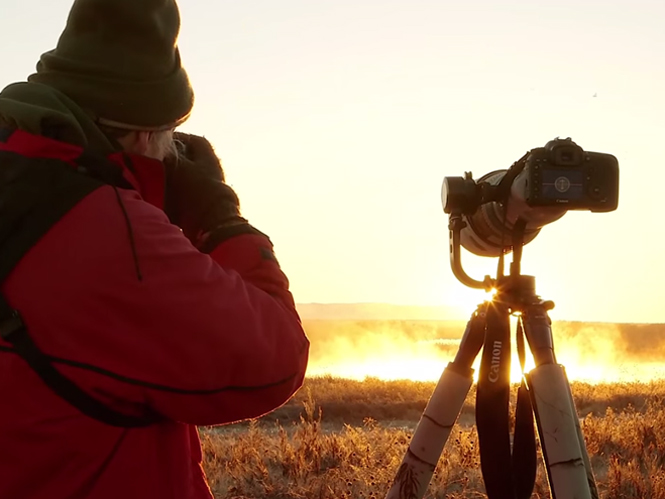 Η Canon αποκαλύπτει τα μυστικά της φωτογράφισης πουλιών σε νέα σειρά videos