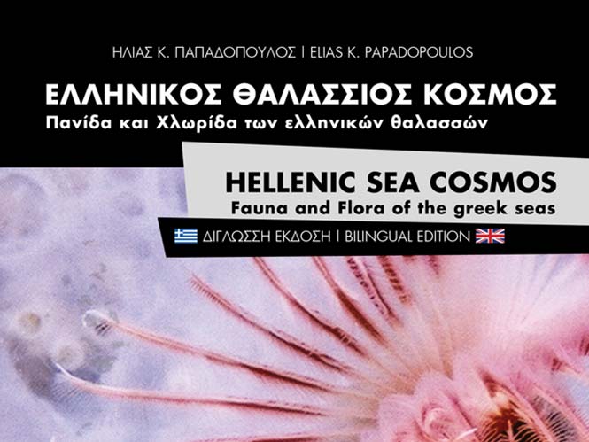 Το ΦΚΘ παρουσιάζει το βιβλίο – λεύκωμα “Ελληνικός θαλάσσιος κόσμος”
