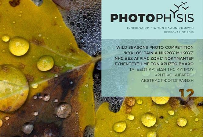 PhotoPhysis