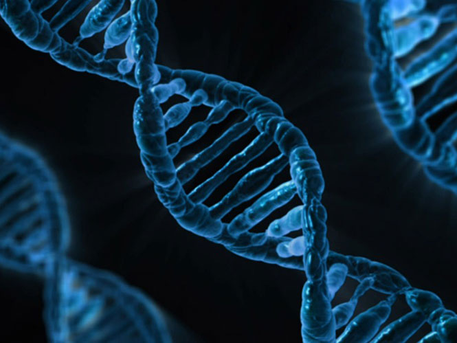 Επιστήμονες κατάφεραν να αποθηκεύσουν φωτογραφίες σε DNA