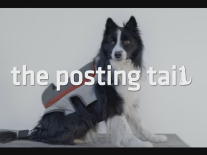 Το Posting Tail επιτρέπει στο σκύλο σας να βγάζει και να δημοσιεύει φωτογραφίες