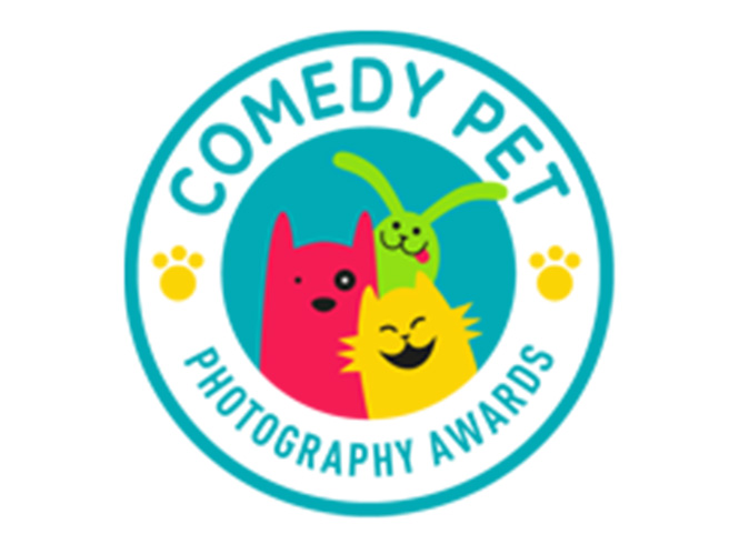 Comedy Pet Photography Awards 2017: Νέος Διαγωνισμός Φωτογραφίας για τα κατοικίδια μας