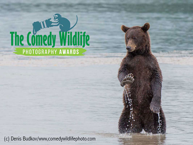 Comedy Wildlife Photography Awards 2017: 2 ημέρες για να πάρετε μέρος