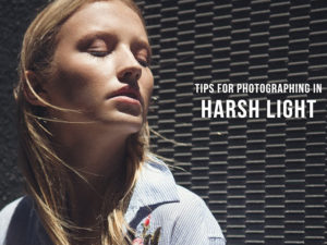 Top 5 Tips for Photographing in Harsh Midday Light