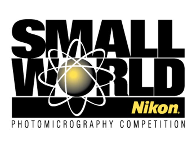 Nikon Small World Contest, μέχρι τις 30 Απριλίου οι συμμετοχές