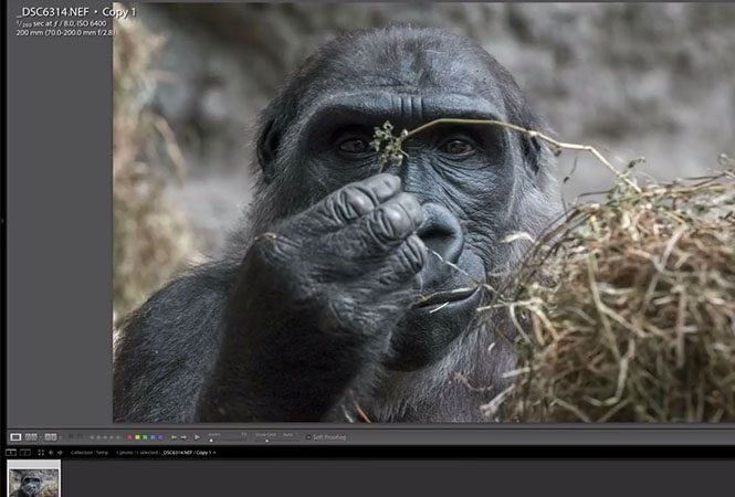 Lightroom