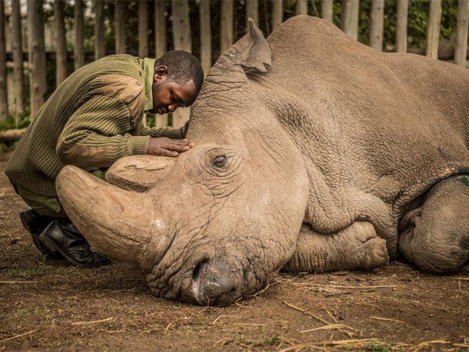 National Geographic: Οι 10 πιο δημοφιλείς φωτογραφίες στο Instagram για το 2018