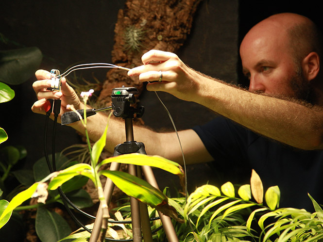 Αυτή είναι η πρώτη κάμερα στον κόσμο που παίρνει ενέργεια από τα φυτά!