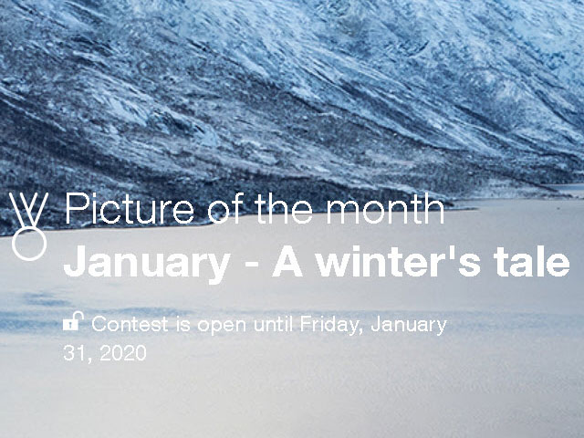 A winter’s tale: Διαγωνισμός φωτογραφίας από την Olympus