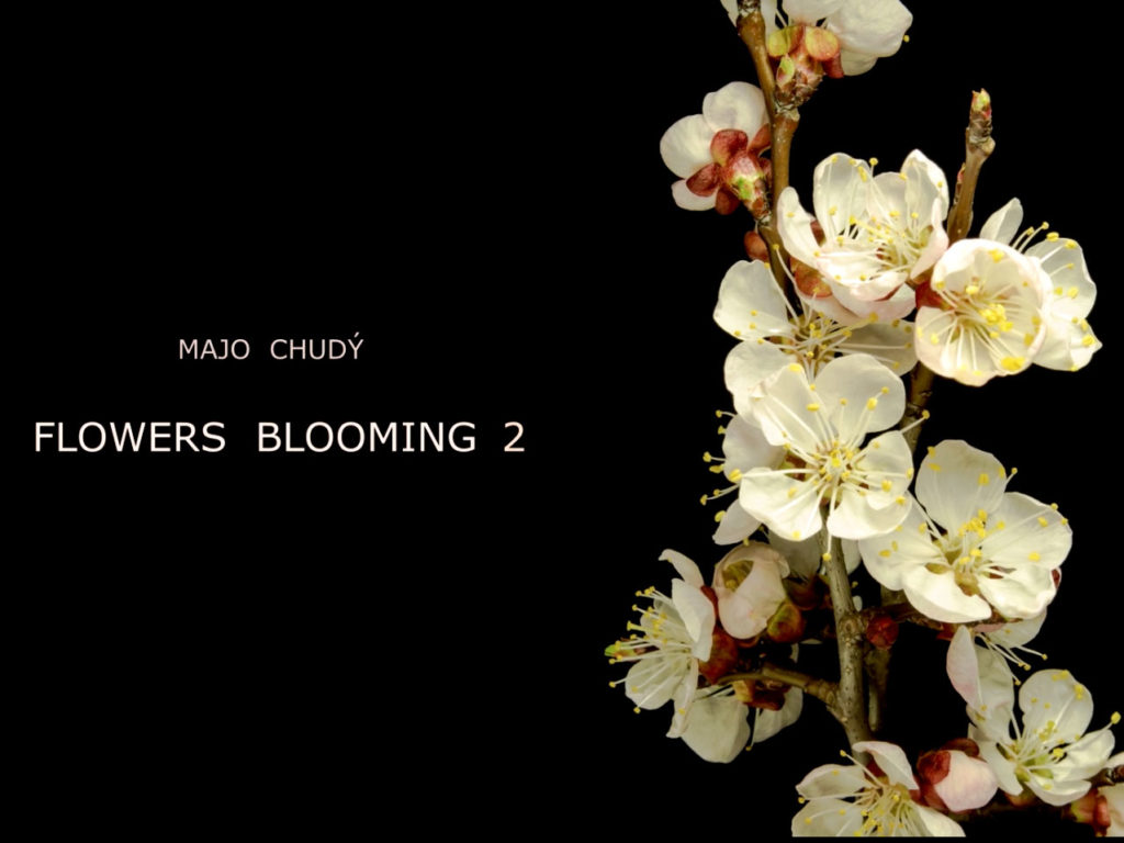 Δείτε λουλούδια να ανθίζουν σε δύο φοβερά TimeLapse βίντεο τα οποία χρειάστηκαν 39.000 και 40.000 λήψεις αντίστοιχα!
