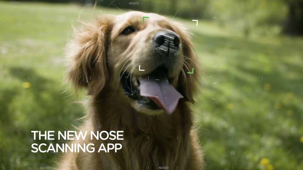 NOSEiD: Νέο app για να φωτογραφίζεις την μύτη του σκύλου σου, ώστε να τον βρεις αν χαθεί!