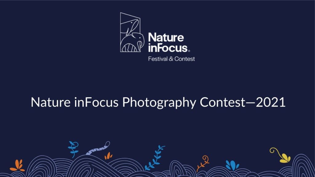 Αυτοί είναι οι νικητές του διαγωνισμού φωτογραφίας Nature inFocus 2021