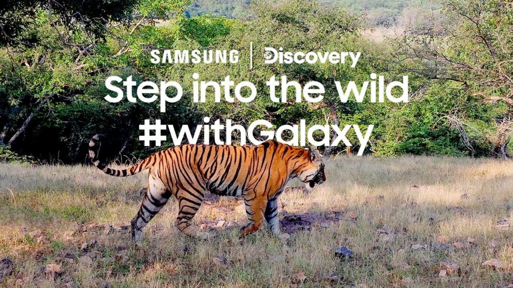 Eye to Eye With a Tiger: Αυτό το ντοκιμαντέρ έγινε με το Samsung Galaxy S21 Ultra