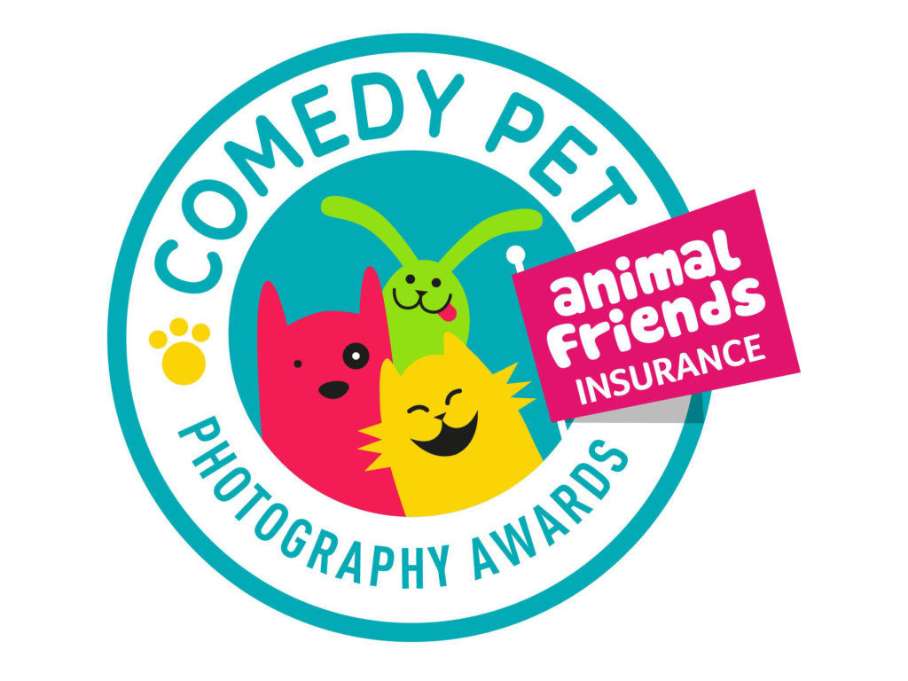 Comedy Pets Photography Awards: Ο πιο αστείος διαγωνισμός φωτογραφίας κατοικίδιων δέχεται συμμετοχές!