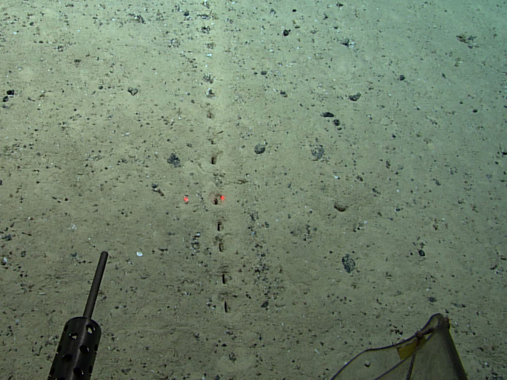 Μυστηριώδεις τρύπες στο βυθό της θάλασσας μοιάζουν με ανθρώπινες γεννώντας ερωτήματα στην επιστημονική κοινότητα
