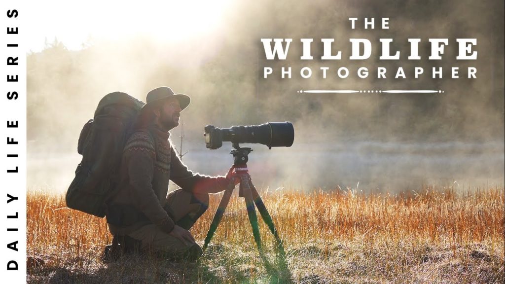 7 βίντεο για την ζωή ενός φωτογράφου άγριας ζωής που πρέπει να δεις!