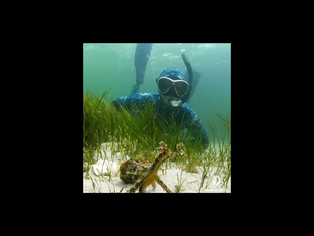 Φωτογράφος βγάζει selfie με ένα από τα πιο θανατηφόρα πλάσματα του ωκεανού