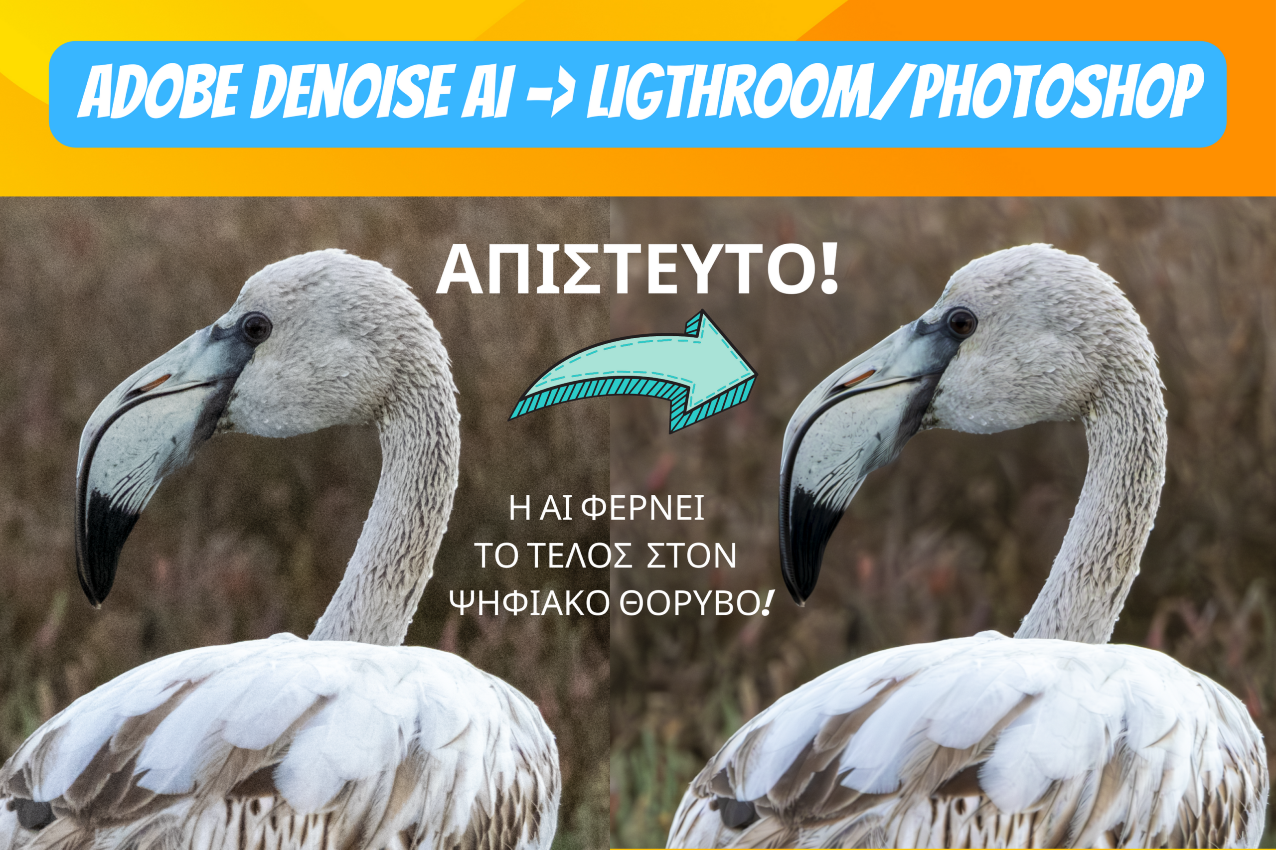 Το τέλος του ψηφιακού θορύβου με την AI του Lightroom/Photoshop [δείτε το βίντεο μας]!