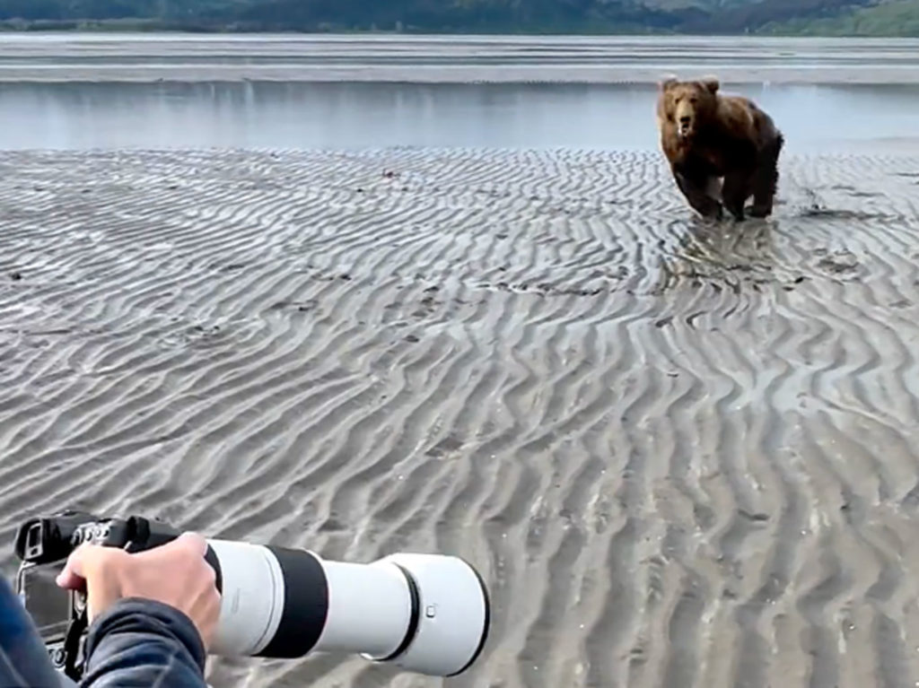 Τι κάνεις άραγε αν πάει να σου επιτεθεί αρκούδα ενώ φωτογραφίζεις;