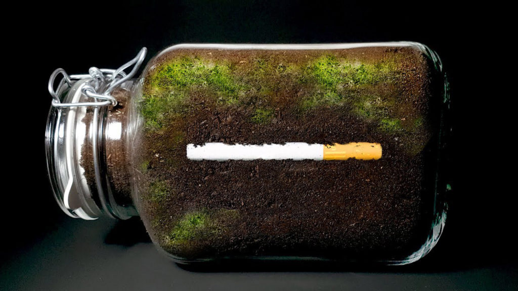 Δείτε επικό Timelapse με τσιγάρα που έμειναν μέσα σε χώμα για ένα χρόνο!