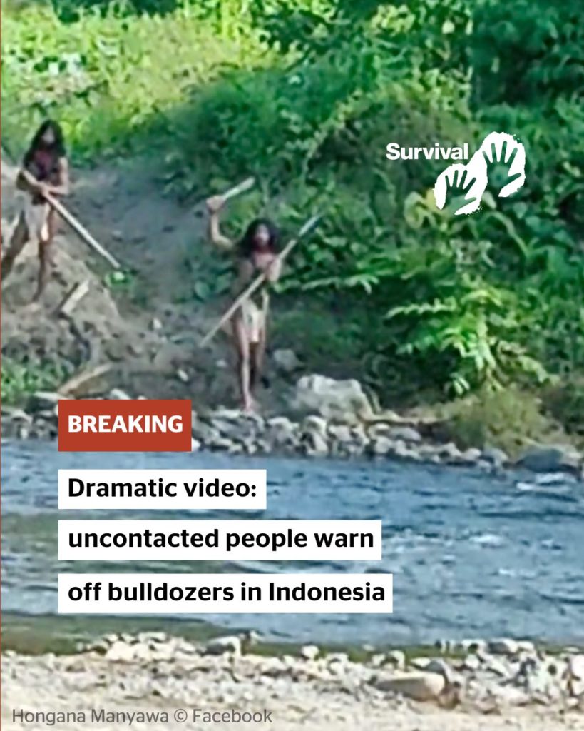 Συγκλονιστικά πλάνα δείχνουν μια χαμένη φυλή της Ινδονησίας αντιμέτωπη με μπουλντόζες