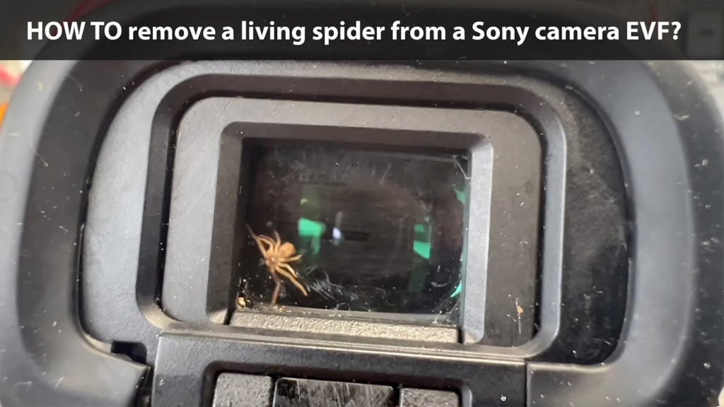 Βρέθηκε ζωντανή αράχνη μέσα στο σκόπευτρο μιας Sony κάμερας!
