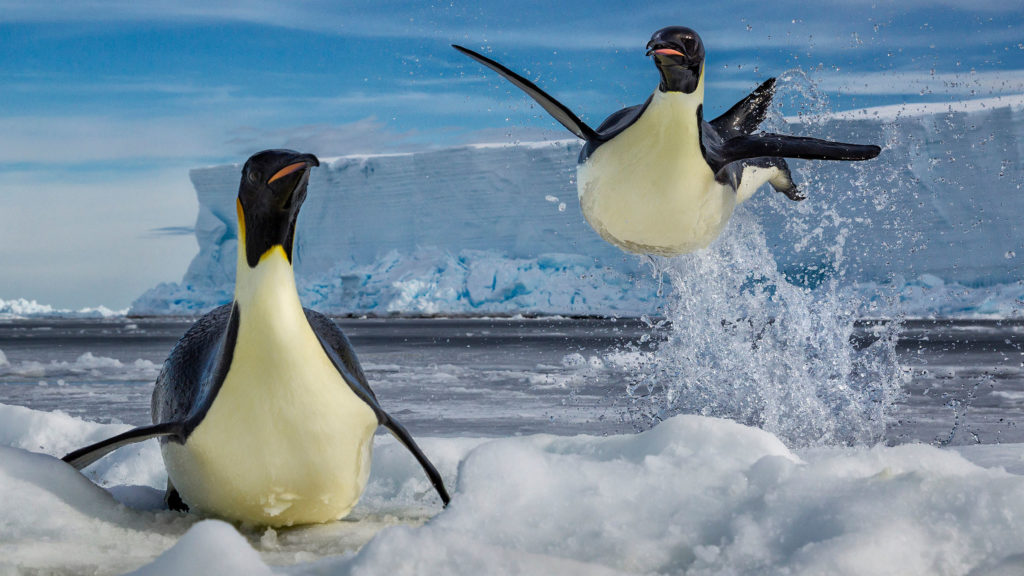 H νέα σειρά Φωτογράφος έρχεται τον Μάρτιο στο National Geographic!
