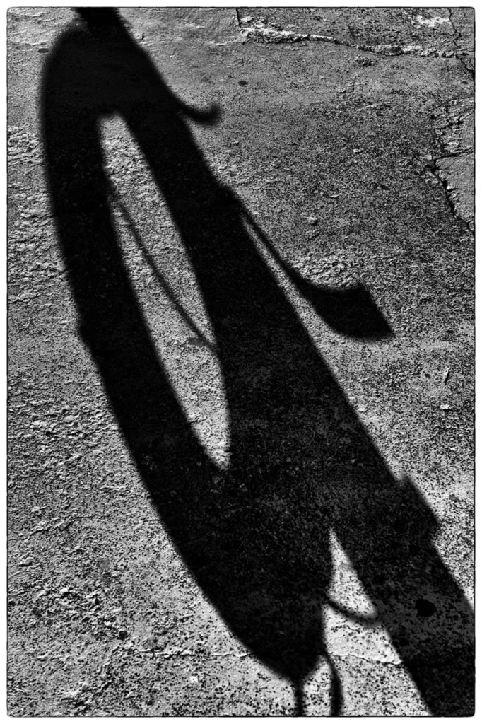 SKieS: Έκθεση Φωτογραφίας των νέων μελών του f14