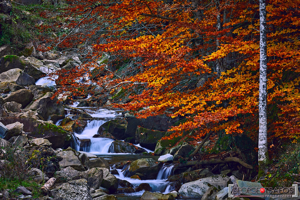 Γιώργος Τσάφος: Φθινόπωρο στα Γιάννενα, αγαπημένα σημεία για μοναδικές εικόνες