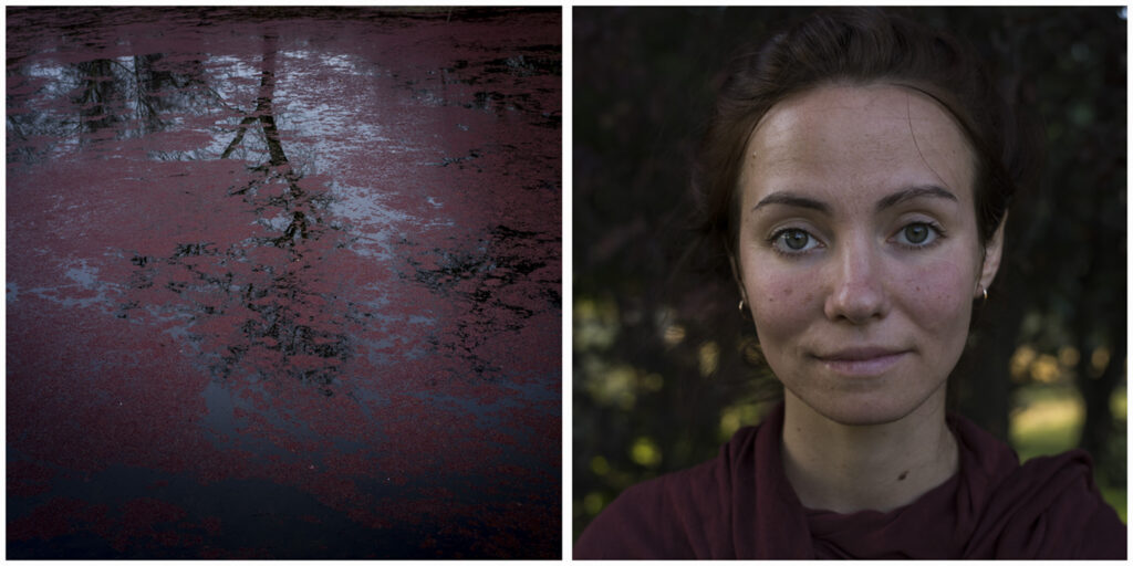 Ένα εύθραυστο θαύμα: Έκθεση Φωτογραφίας του Χάρη Κακαρούχα στην Αθήνα