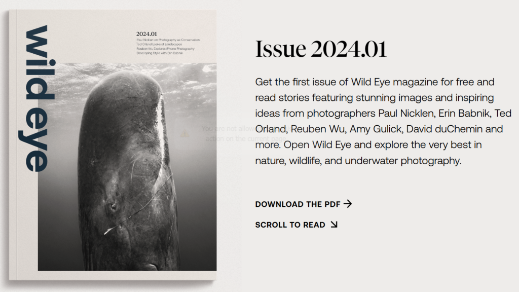 Wild Eye: Ένα νέο περιοδικό αφιερωμένο στην προστασία της φύσης μέσω της φωτογραφίας