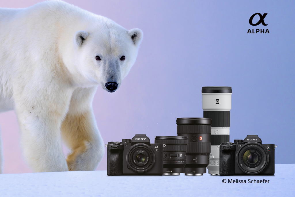 Sony Winter Cashback: Σημαντικές Προσφορές για Φωτογράφους και Βιντεογράφους