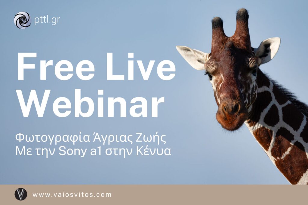 Webinar Φωτογράφισης Άγριας Ζωής: Στην Κένυα με τη Sony a1