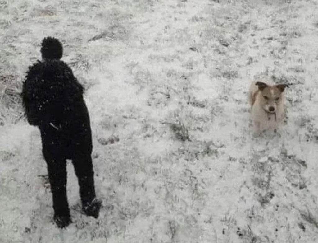 Οπτική Ψευδαίσθηση: Τι βλέπετε στη φωτογραφία;